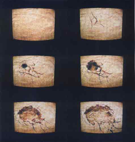 ich fragte die Erde...